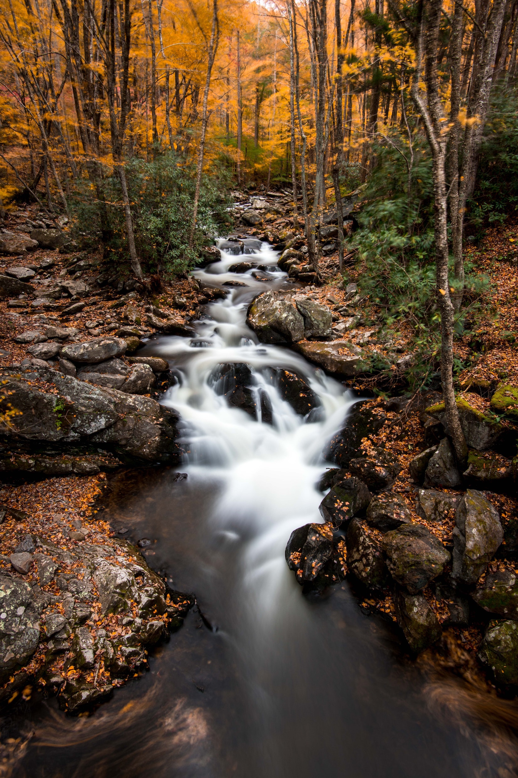 Foto: <a href="https://unsplash.com/@shanearesmith?utm_source=unsplash&utm_medium=referral&utm_content=creditCopyText">Shane Smith</a> on <a href="https://unsplash.com/s/photos/creek?utm_source=unsplash&utm_medium=referral&utm_content=creditCopyText">Unsplash</a>