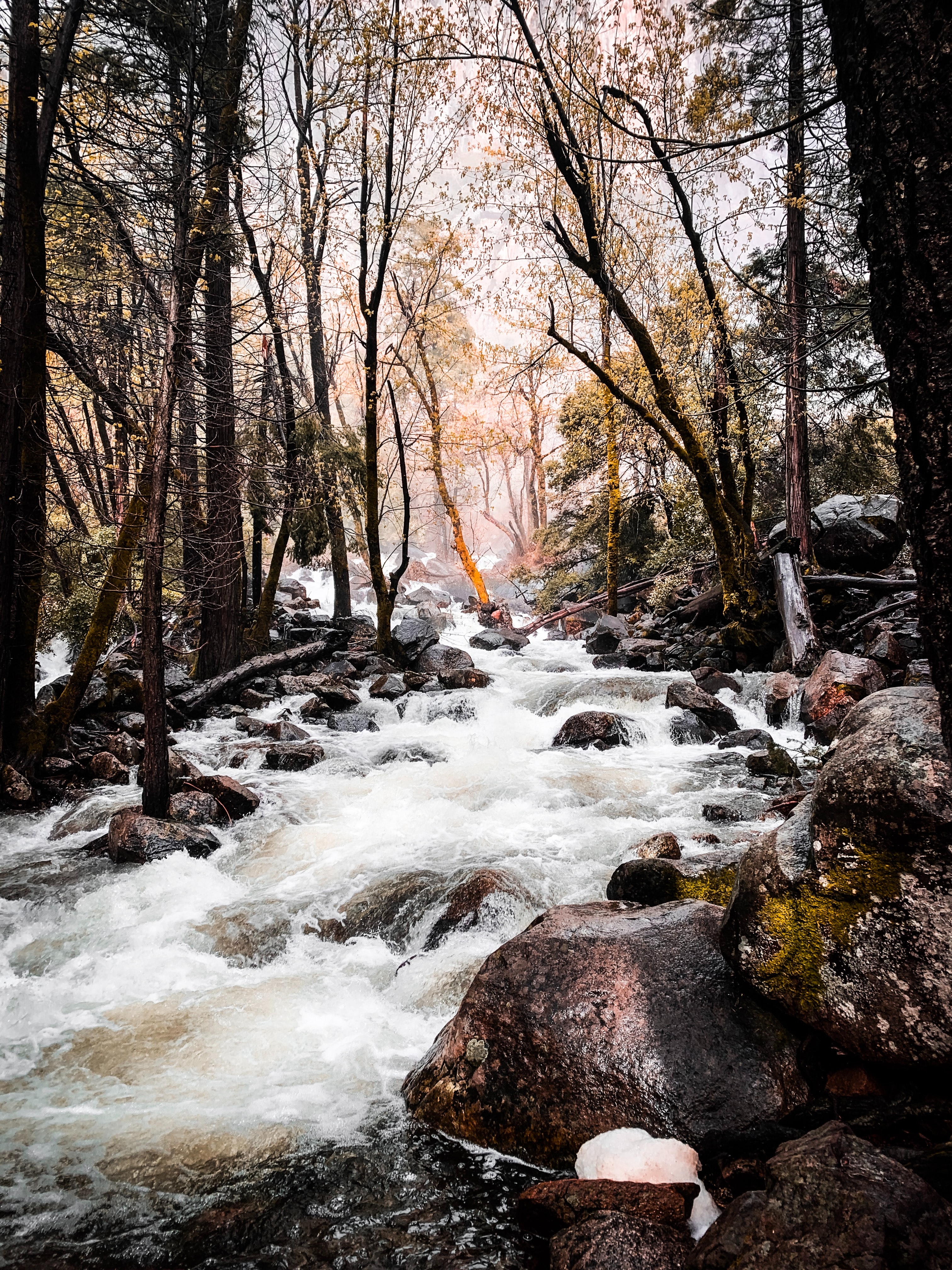 Foto: <a href="https://unsplash.com/@shanearesmith?utm_source=unsplash&utm_medium=referral&utm_content=creditCopyText">Shane Smith</a> on <a href="https://unsplash.com/s/photos/creek?utm_source=unsplash&utm_medium=referral&utm_content=creditCopyText">Unsplash</a>